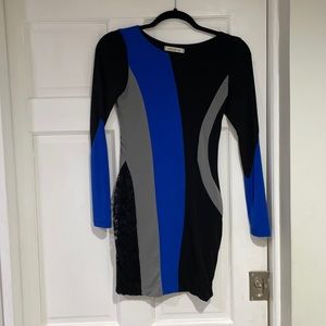 Arden B. Bodycon Dress Size Sm
